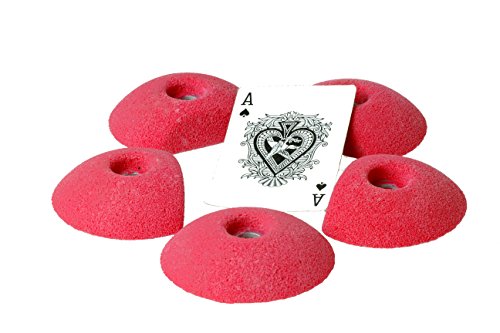 Large Sand Dollar Full Tex Feet(Factory Seconds)