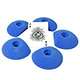 Large Sand Dollar Full Tex Feet(Factory Seconds)