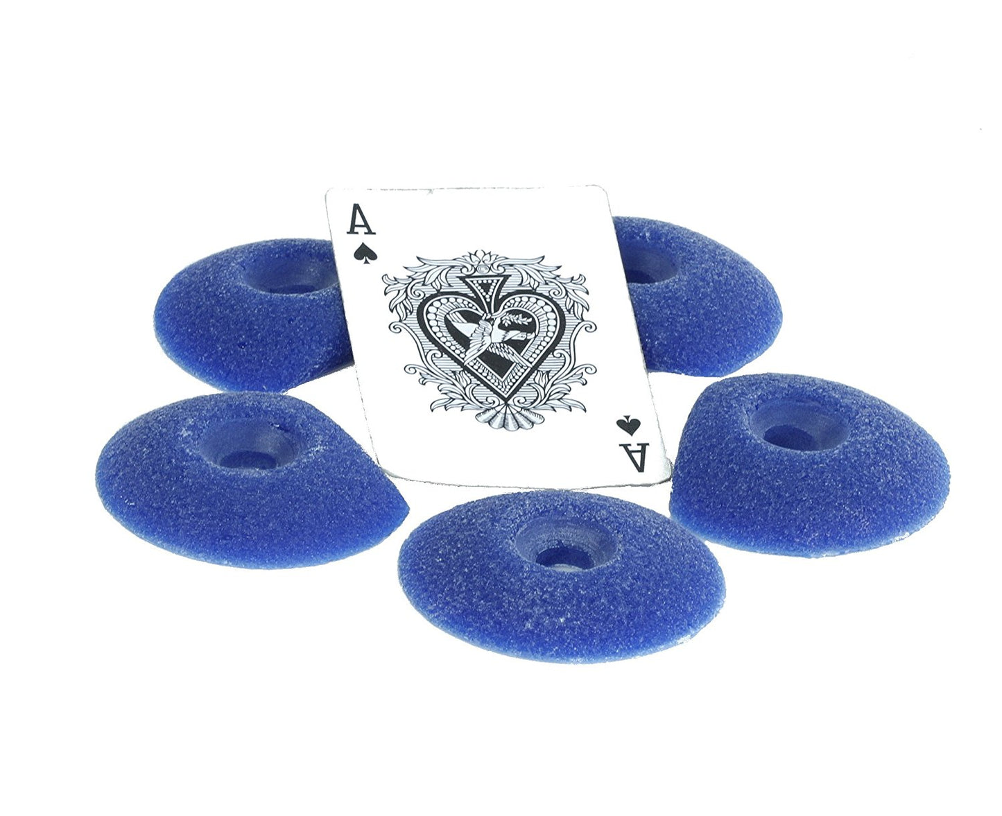 Large Sand Dollar Full Tex Feet(Factory Seconds)