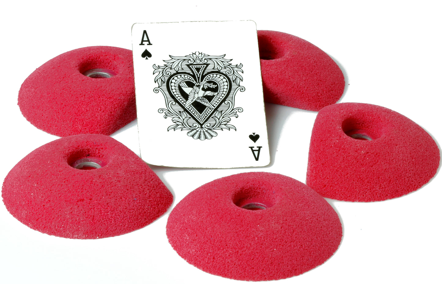 Medium Sand Dollar Full Tex Feet(Factory Seconds)